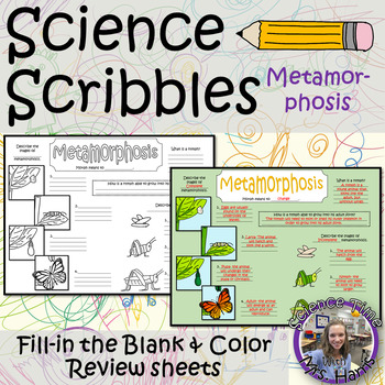 Preview of Science Scribbles- Metamorphosis (Study Guide, Review)