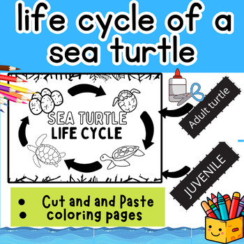 Preview of Science: Sea Turtle Life Cycle Cut and Paste - Coloring page