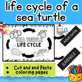 Science: Sea Turtle Life Cycle Cut and Paste - Coloring page