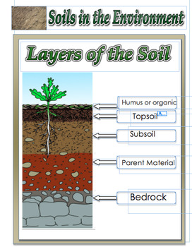 Science Education - Soils in the Environment 20 pages by Geis19 | TPT