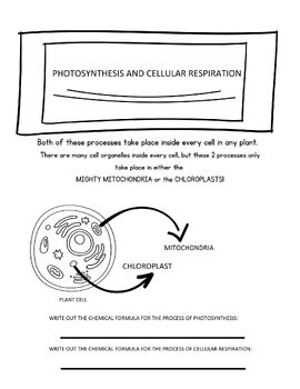 Preview of Science Unit Starter Page: Photosynthesis and Cellular Respiration