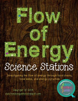 Preview of Science Stations - Flow of Energy (Food Webs, Chains, and Energy Pyramids)