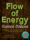 Science Stations - Flow of Energy (Food Webs, Chains, and 