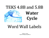 Science TEKS 5.8B & 4.8B Water Cycle Word Wall Labels and 