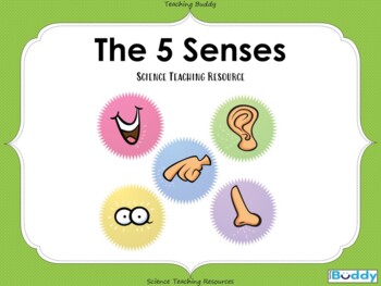 Preview of The 5 Senses