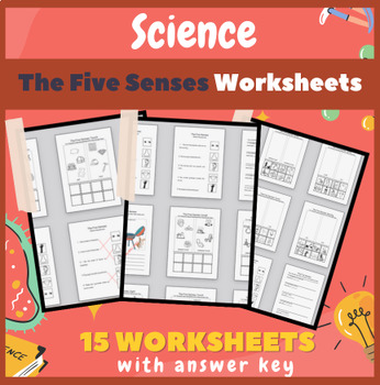 Preview of Science The Five Senses Worksheets