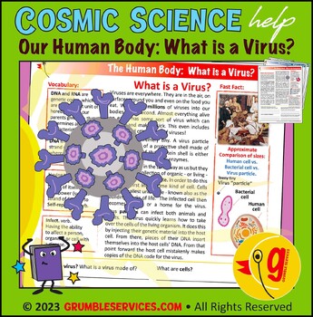 Preview of Viruses & Vaccines: The Human Body - What is a Virus COVID-19? Biology help