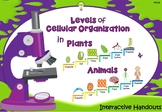 Science: The Levels of Cellular Organization in Animals an