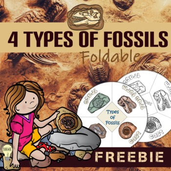 Types of Fossils (mold, cast, trace, and true form) Foldable for ISN ...