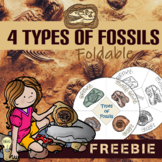 Types of Fossils (mold, cast, trace, and true form) Foldab