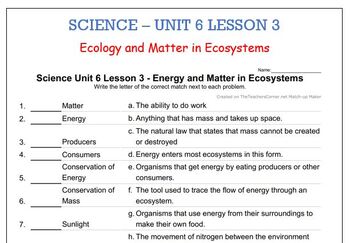 Preview of Science Unit 6 Lesson 3 - Energy and Matter in Ecosystems