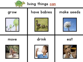 Preview of Science Unit: Living & Non-living with Workbook
