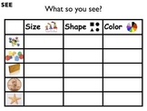 Science Unit: Properties/Characteristics of Matter with Workbook