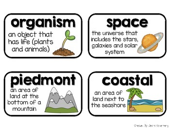 Science Vocabulary Cards 1st Grade by Primary Punch | TpT