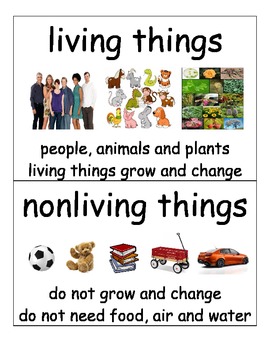 Preview of Science Vocabulary Cards Living Things