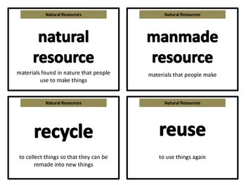 Science Vocabulary Cards for 2nd grade by Mackenzie Hart | TpT