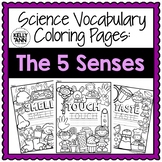 5 Senses Worksheets - Science Vocabulary Coloring Pages