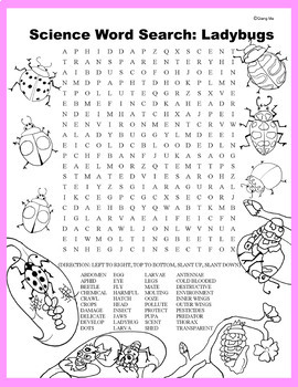 Science Word Search: Ladybugs by Qiang Ma | Teachers Pay Teachers