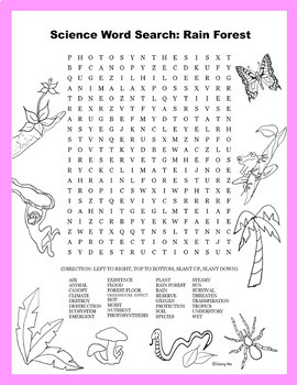 science word search rain forest by qiang ma teachers