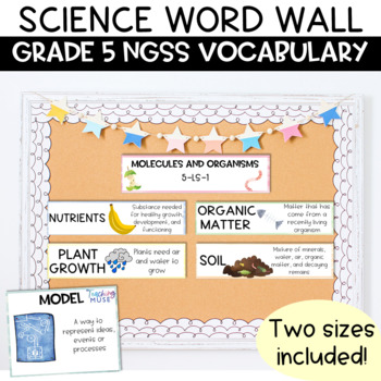 Preview of Science Word Wall Bulletin Board