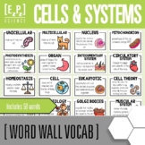 Science Word Wall Cards for Middle School | Cells and Body