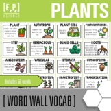 Science Word Wall Cards for Middle School Life Science | P