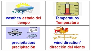 Preview of Bilingual Elementary Science Word Wall English and Spanish