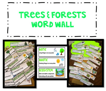 Preview of Science Word Wall : Trees & Forests