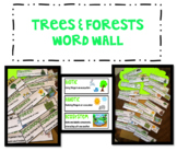 Science Word Wall : Trees & Forests