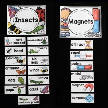 Science Word Wall for Kindergarten and First Grade