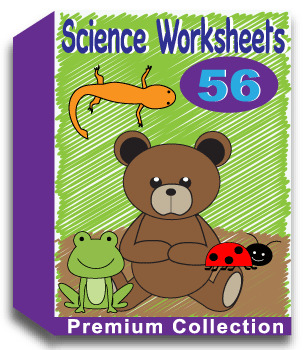 Preview of Science Worksheets for Kindergarten (56 Worksheets) No Prep