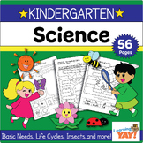 Science Worksheets for Kindergarten (56 Worksheets) No Prep
