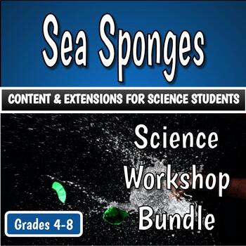 Preview of Science Workshop Bundle - Sea Sponges