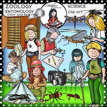 Preview of Science clip art: Zoology-Entomology (insects) -Color and B&W-  38