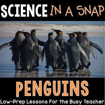 Preview of Science in a Snap: All About Penguins {Interactive PowerPoint Lessons & More}