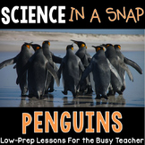 Science in a Snap: All About Penguins {Interactive PowerPo