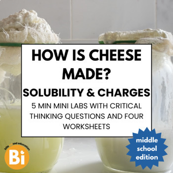 Preview of Science of Cheese Mini Lab & Lesson Plan [solubility & precipitation]