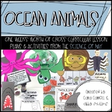 Science of Ocean Animals