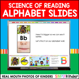 Science of Reading Alphabet Slides, Letter Formation Slide