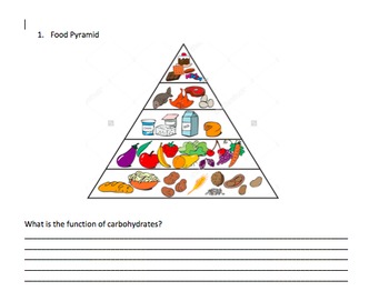 Preview of Science paper on nutrition, digestive, circulatory and respiratory system,