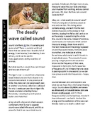 Science reading article x 2 The Deadly Wave Called Sound a
