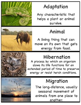 Hibernation migration adaptation