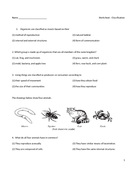 Middle School Biology Worksheet - Classification by Educator Super Store