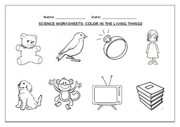 science worksheet color in the living things by science workshop