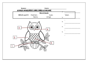 Preview of Science worksheet: Label The Parts Of An Owl
