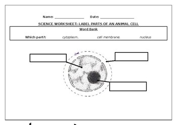 Preview of Science worksheet: Label parts of an animal cell