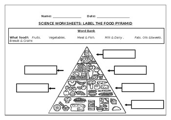 Preview of Science worksheet: Label the food pyramid