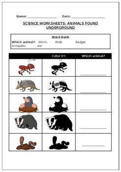 Science worksheets: Animals found Underground by Science Workshop