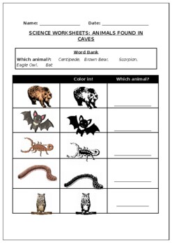 Science worksheets: Animals found in Caves by Science Workshop | TPT