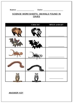 science worksheets animals found in caves by science workshop tpt